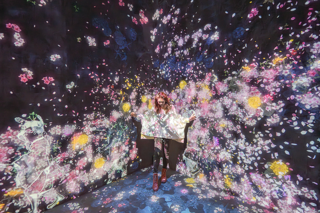 teamLab Borderless 無界|東京麻布台之丘數位藝術美術館 @Alina 愛琳娜 teamLab Borderless 無界|東京麻布台之丘數位藝術美術館 @Alina 愛琳娜