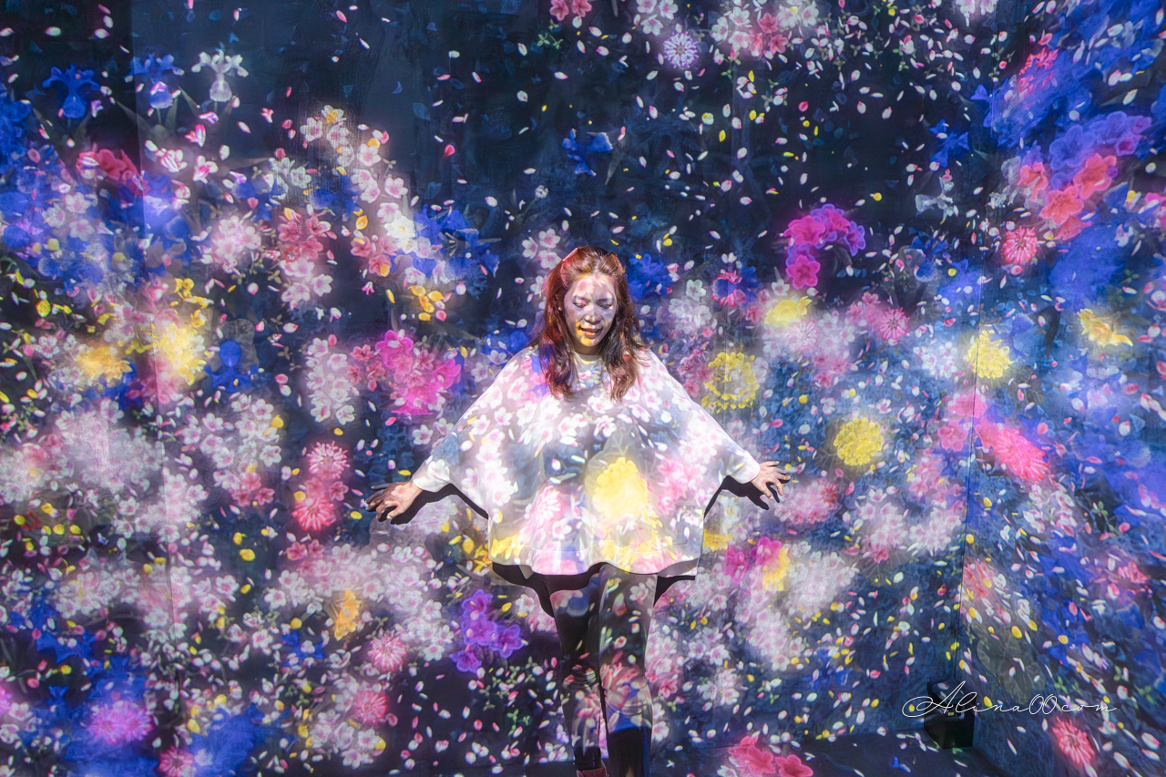 teamLab&nbsp;Borderless 無界｜東京麻布台之丘數位藝術美術館 @Alina 愛琳娜
