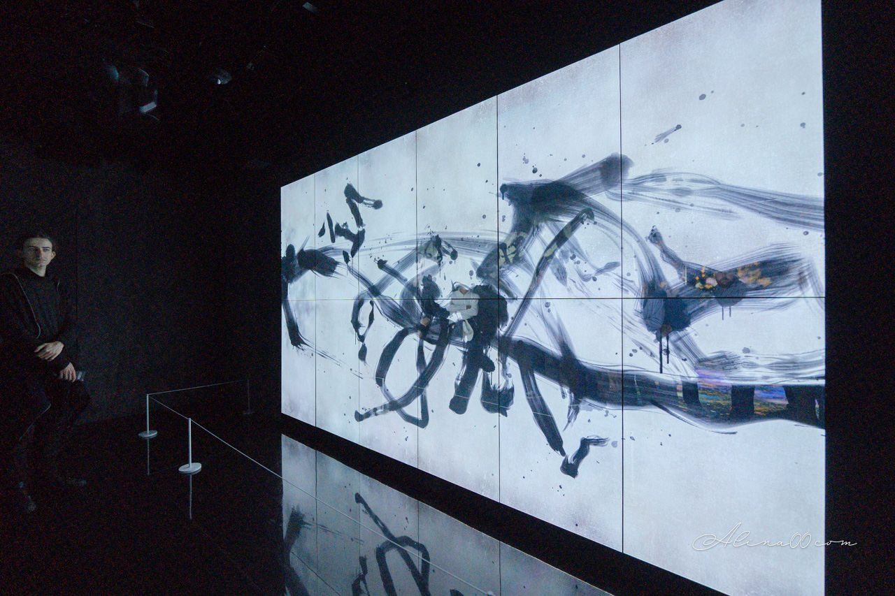 teamLab Borderless 無界|東京麻布台之丘數位藝術美術館 @Alina 愛琳娜 teamLab Borderless 無界|東京麻布台之丘數位藝術美術館 @Alina 愛琳娜