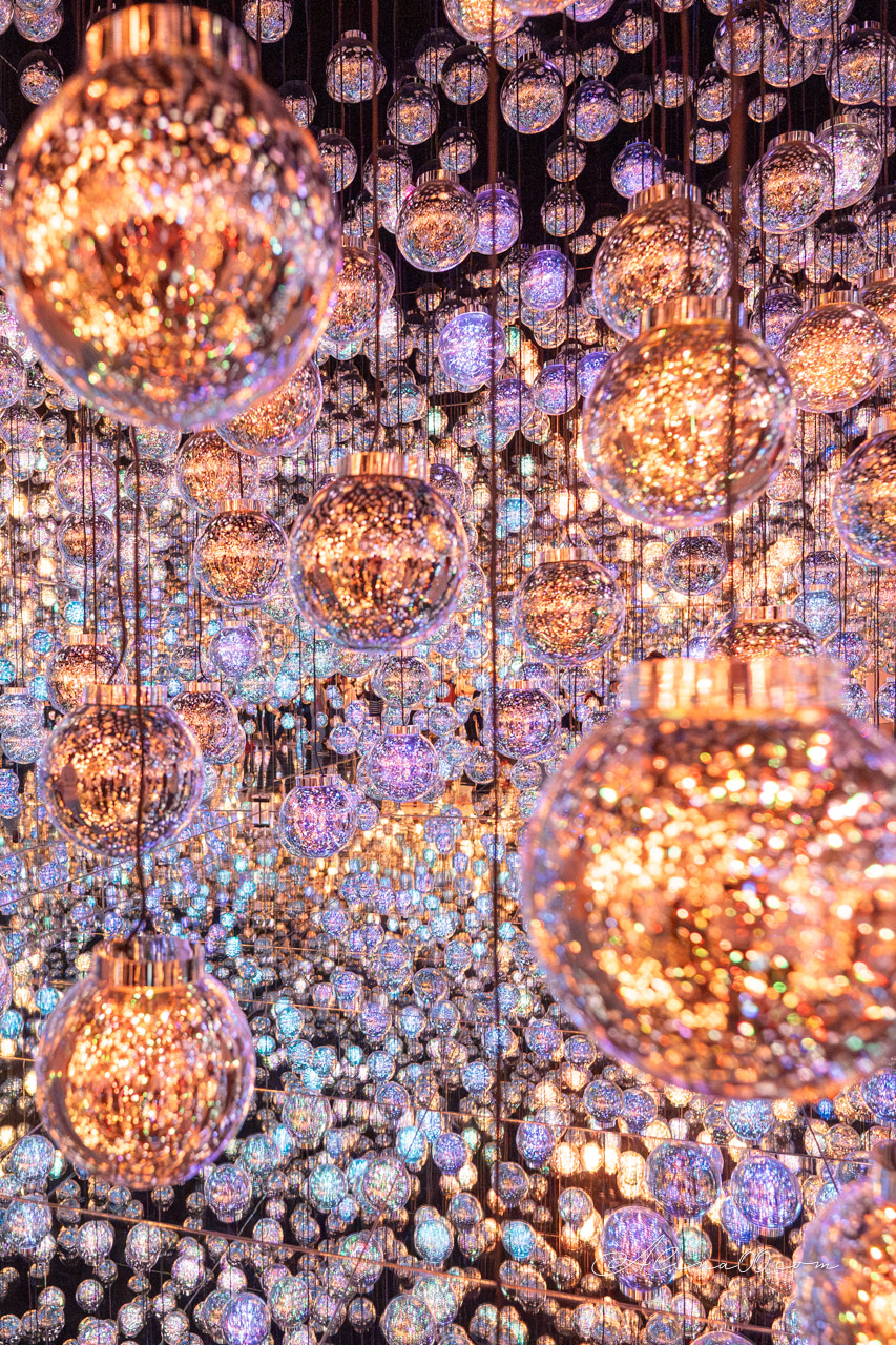 teamLab Borderless 無界|東京麻布台之丘數位藝術美術館 @Alina 愛琳娜 teamLab Borderless 無界|東京麻布台之丘數位藝術美術館 @Alina 愛琳娜