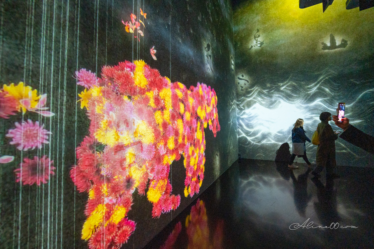 teamLab Borderless 無界|東京麻布台之丘數位藝術美術館 @Alina 愛琳娜 teamLab Borderless 無界|東京麻布台之丘數位藝術美術館 @Alina 愛琳娜