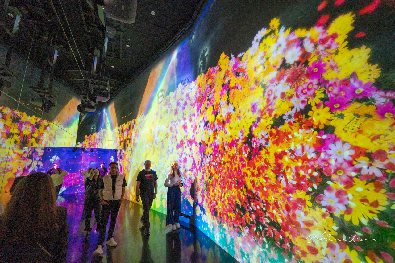 teamLab Borderless 無界|東京麻布台之丘數位藝術美術館 @Alina 愛琳娜 teamLab Borderless 無界|東京麻布台之丘數位藝術美術館 @Alina 愛琳娜