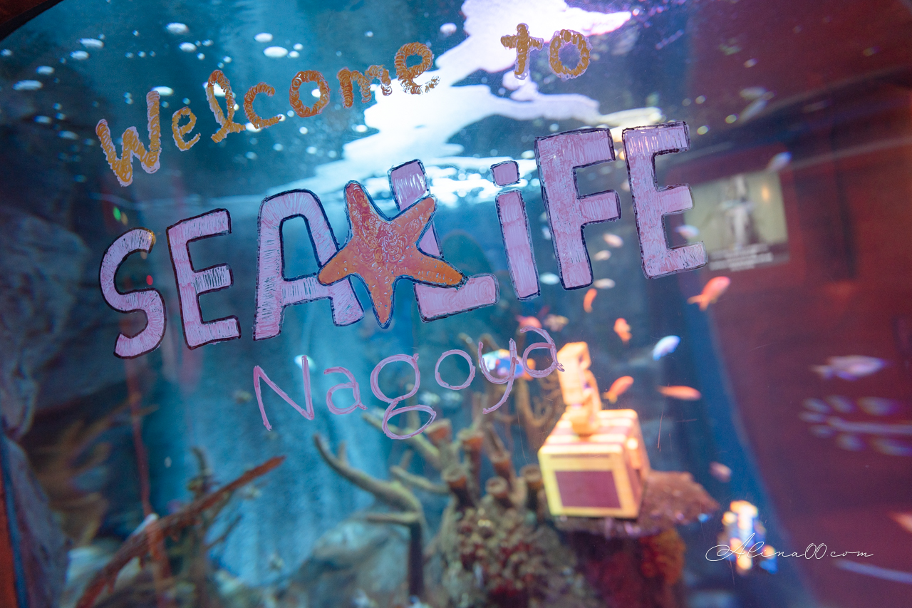 【名古屋景點】SEA LIFE 名古屋水族館｜小巧可愛的樂高海底世界 @Alina 愛琳娜