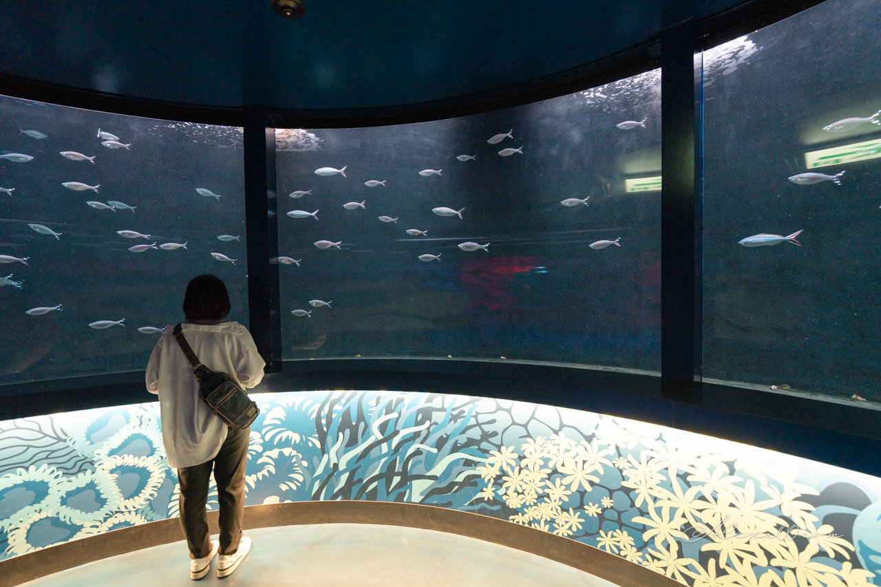 【名古屋景點】SEA LIFE 名古屋水族館｜小巧可愛的樂高海底世界 @Alina 愛琳娜
