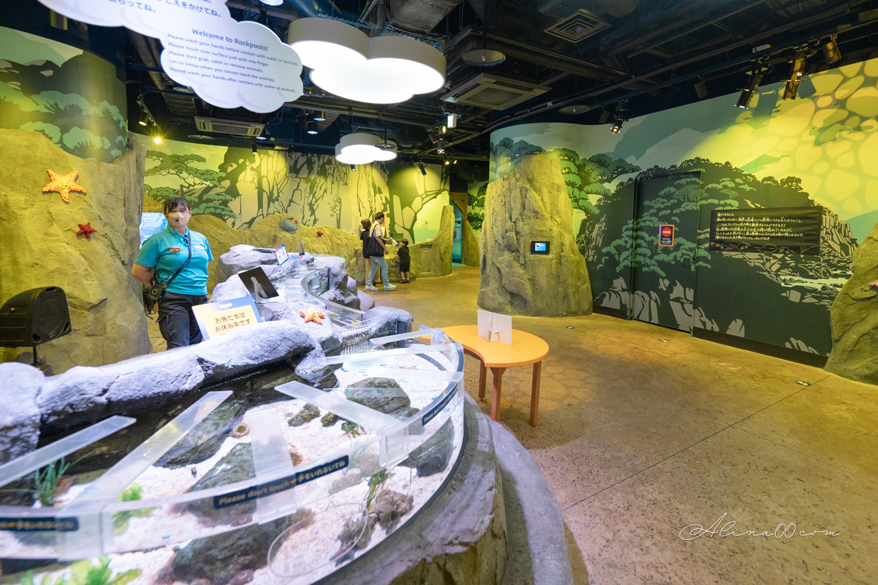 【名古屋景點】SEA LIFE 名古屋水族館｜小巧可愛的樂高海底世界 @Alina 愛琳娜