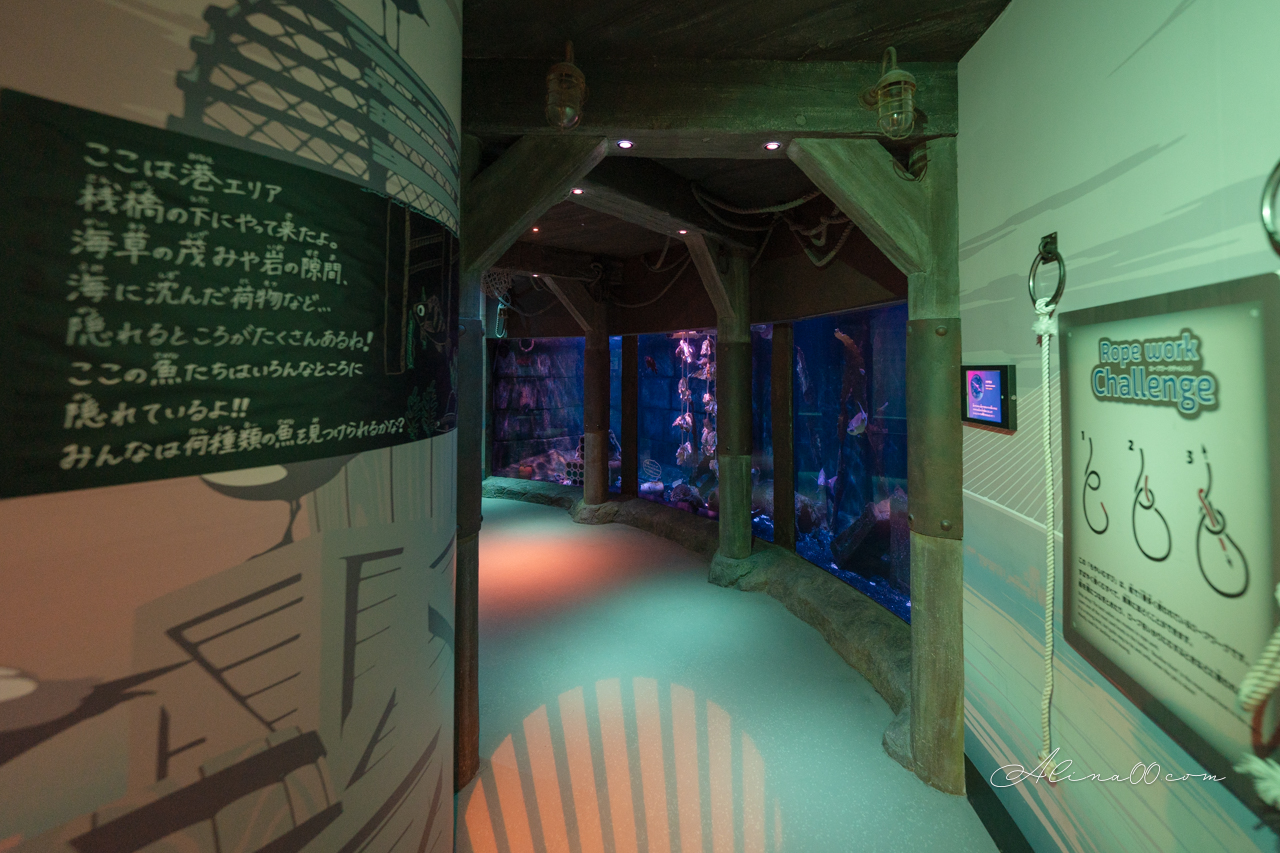 【名古屋景點】SEA LIFE 名古屋水族館｜小巧可愛的樂高海底世界 @Alina 愛琳娜