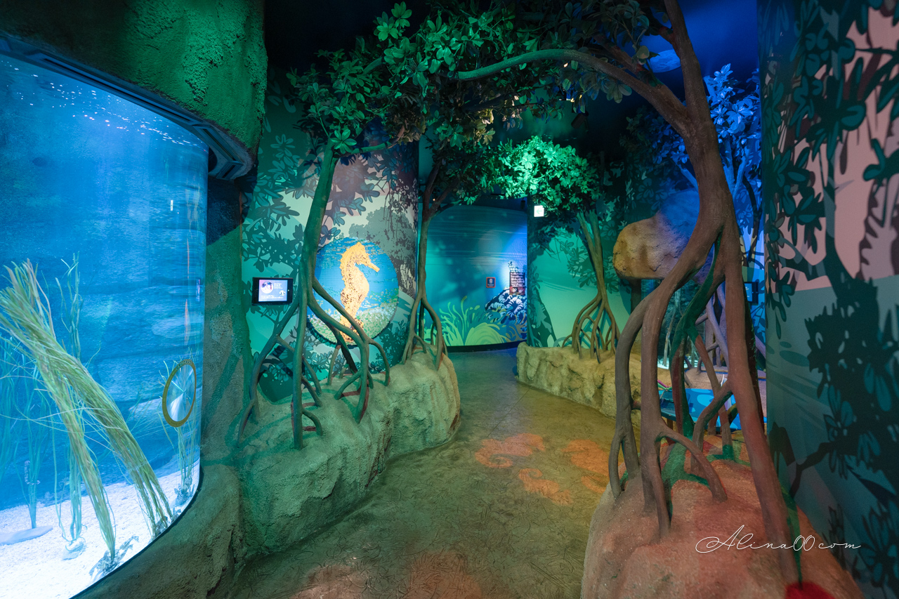 【名古屋景點】SEA LIFE 名古屋水族館｜小巧可愛的樂高海底世界 @Alina 愛琳娜