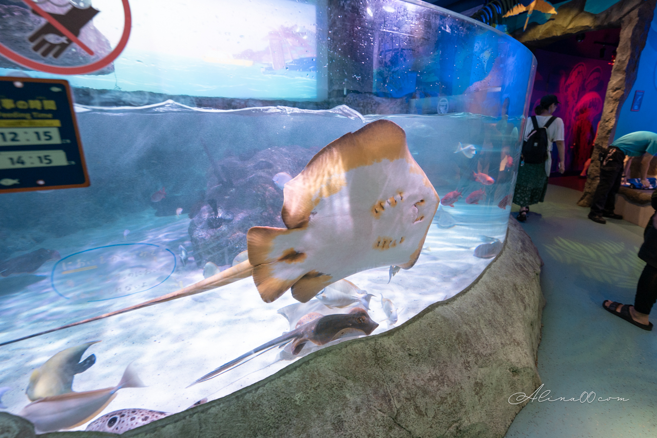 【名古屋景點】SEA LIFE 名古屋水族館｜小巧可愛的樂高海底世界 @Alina 愛琳娜