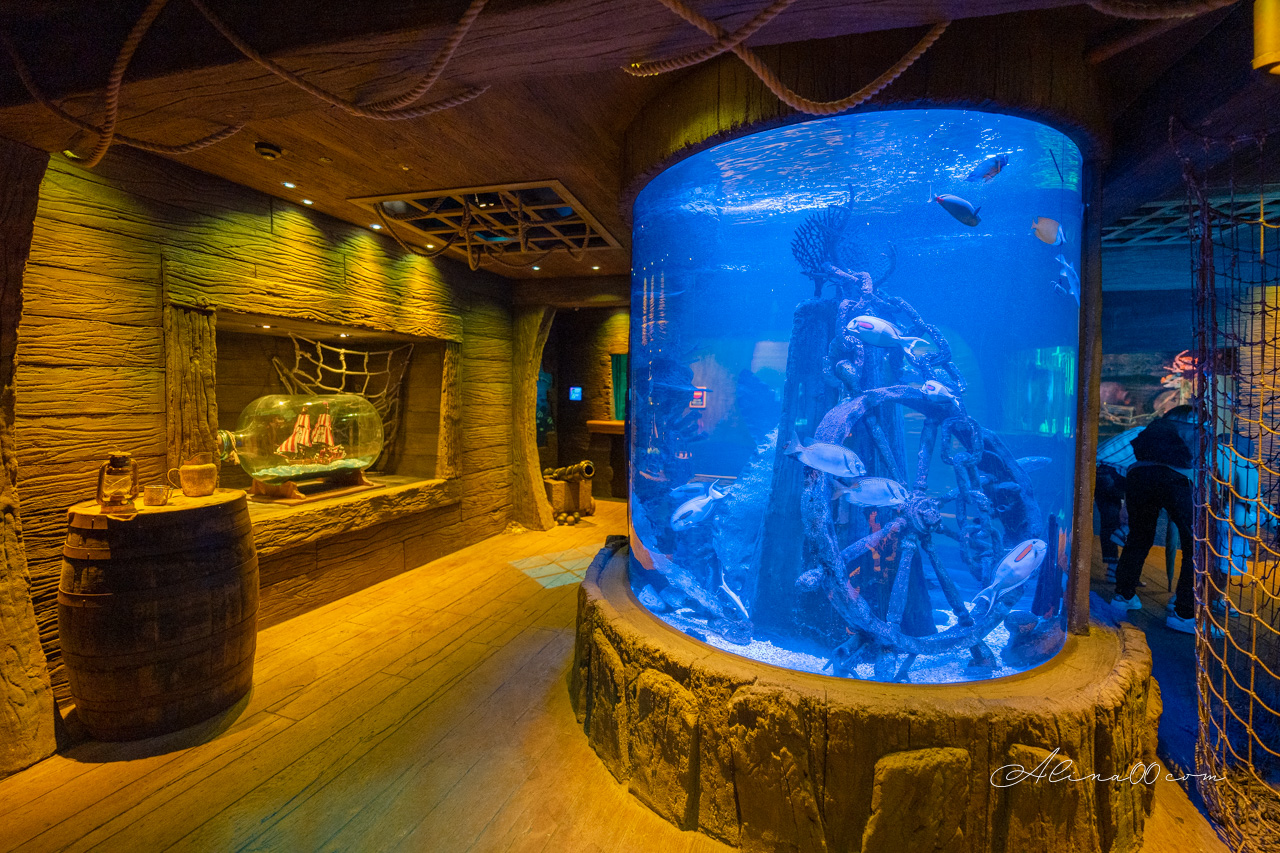 【名古屋景點】SEA LIFE 名古屋水族館｜小巧可愛的樂高海底世界 @Alina 愛琳娜