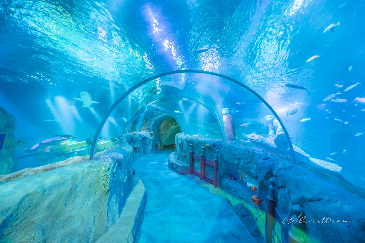 【名古屋景點】SEA LIFE 名古屋水族館｜小巧可愛的樂高海底世界 @Alina 愛琳娜