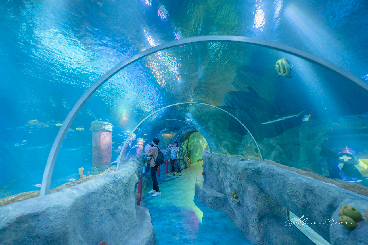 【名古屋景點】SEA LIFE 名古屋水族館｜小巧可愛的樂高海底世界 @Alina 愛琳娜