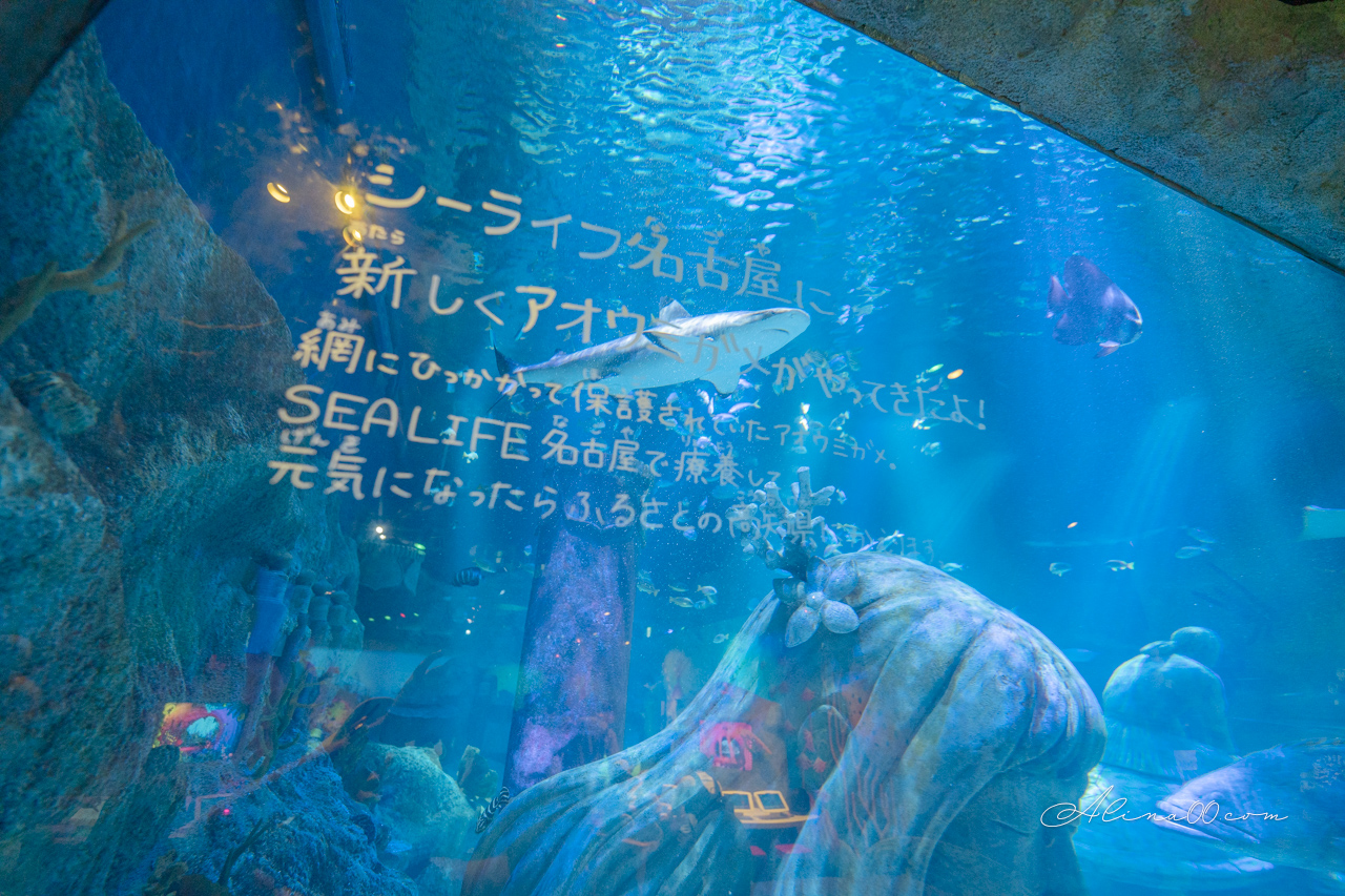 【名古屋景點】SEA LIFE 名古屋水族館｜小巧可愛的樂高海底世界 @Alina 愛琳娜