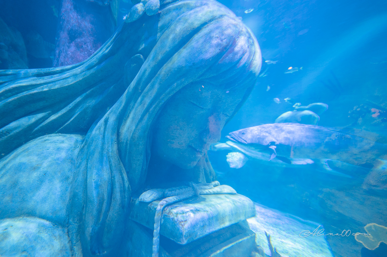【名古屋景點】SEA LIFE 名古屋水族館｜小巧可愛的樂高海底世界 @Alina 愛琳娜