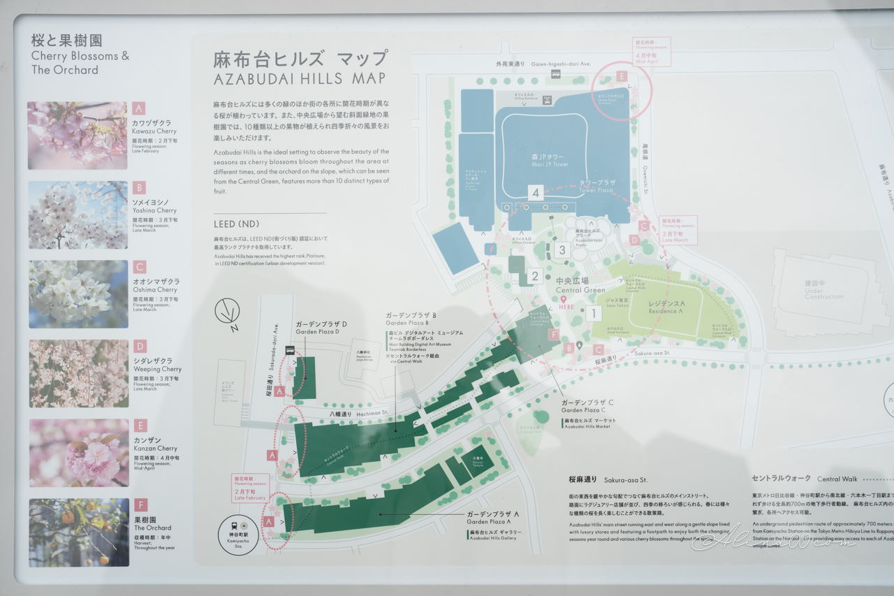 東京麻布台之丘》展望台觀景攻略：拍照景點+美食餐廳推薦 @Alina 愛琳娜