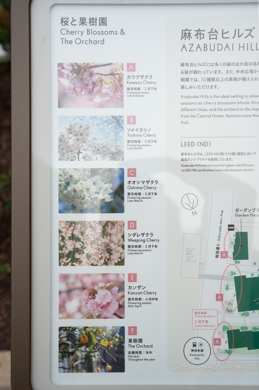 東京麻布台之丘》展望台觀景攻略：拍照景點+美食餐廳推薦 @Alina 愛琳娜