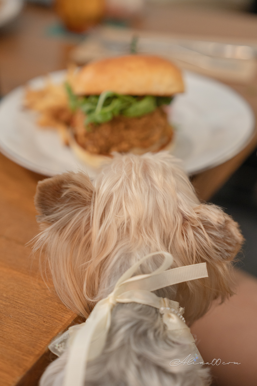 Omnivore 雜食者|內湖早午餐健康豐富,貼心寵物友善 @Alina 愛琳娜 Omnivore 雜食者|內湖早午餐健康豐富,貼心寵物友善 @Alina 愛琳娜