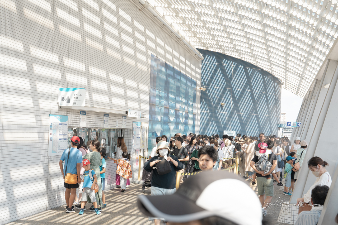 名古屋港水族館|日本最大海遊館,虎鯨表演超精彩 @Alina 愛琳娜 名古屋港水族館|日本最大海遊館,虎鯨表演超精彩 @Alina 愛琳娜