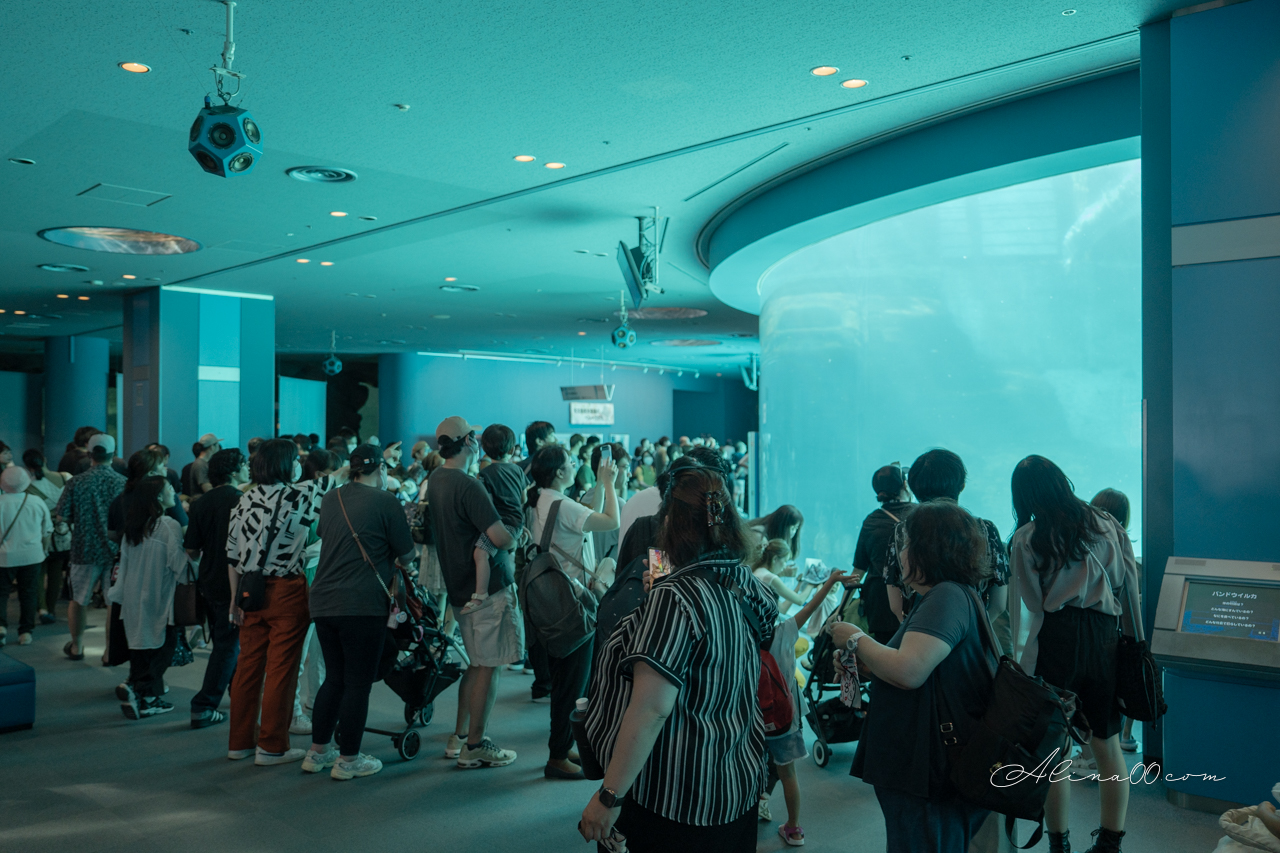 名古屋港水族館｜日本最大海遊館，虎鯨表演超精彩 @Alina 愛琳娜