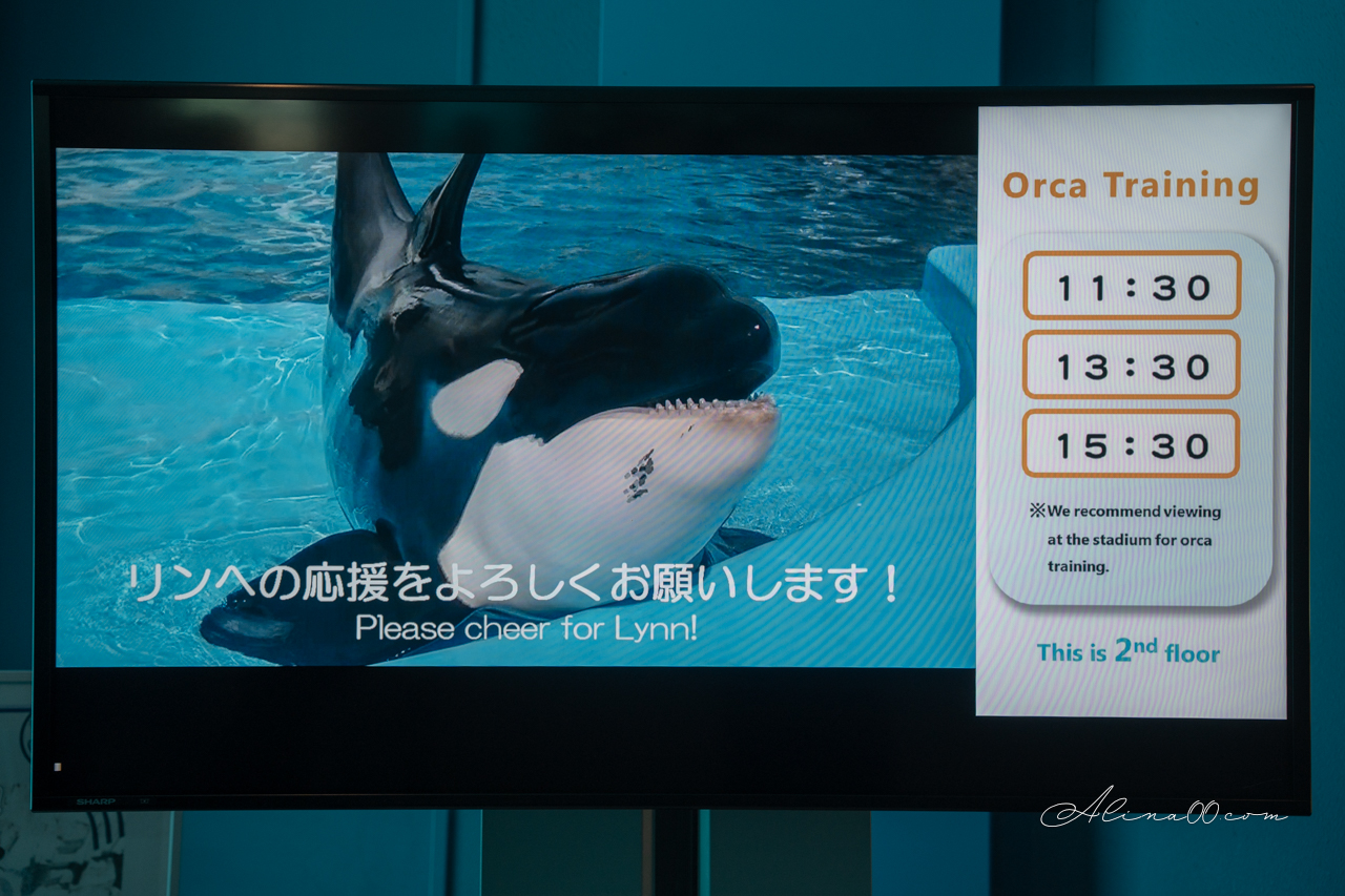 名古屋港水族館|日本最大海遊館,虎鯨表演超精彩 @Alina 愛琳娜 名古屋港水族館|日本最大海遊館,虎鯨表演超精彩 @Alina 愛琳娜