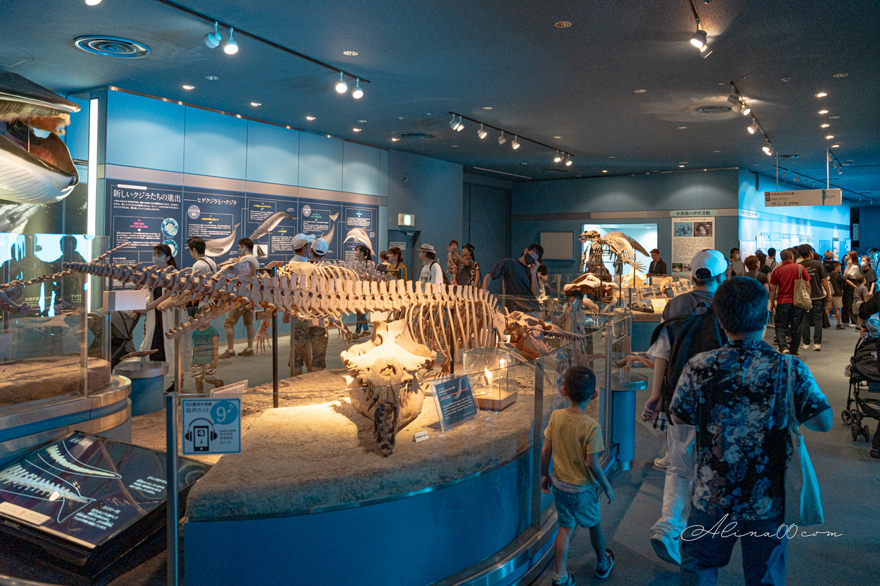 名古屋港水族館|日本最大海遊館,虎鯨表演超精彩 @Alina 愛琳娜 名古屋港水族館|日本最大海遊館,虎鯨表演超精彩 @Alina 愛琳娜