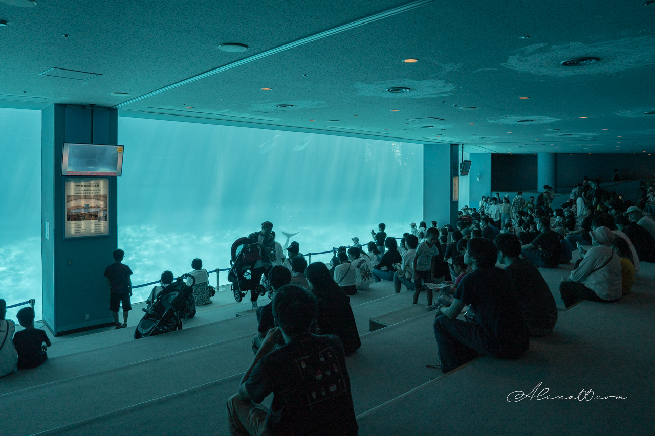 名古屋港水族館|日本最大海遊館,虎鯨表演超精彩 @Alina 愛琳娜 名古屋港水族館|日本最大海遊館,虎鯨表演超精彩 @Alina 愛琳娜