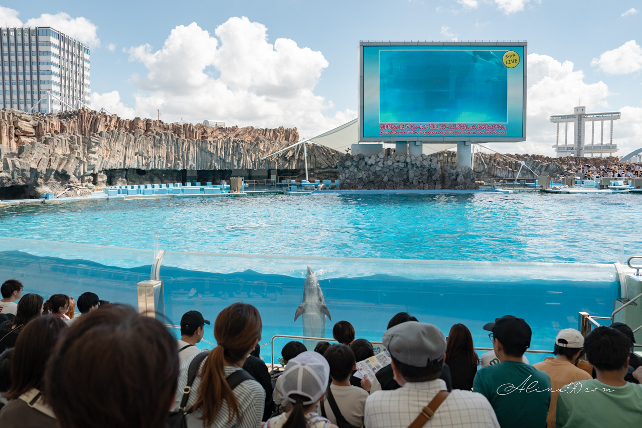 名古屋港水族館|日本最大海遊館,虎鯨表演超精彩 @Alina 愛琳娜 名古屋港水族館|日本最大海遊館,虎鯨表演超精彩 @Alina 愛琳娜