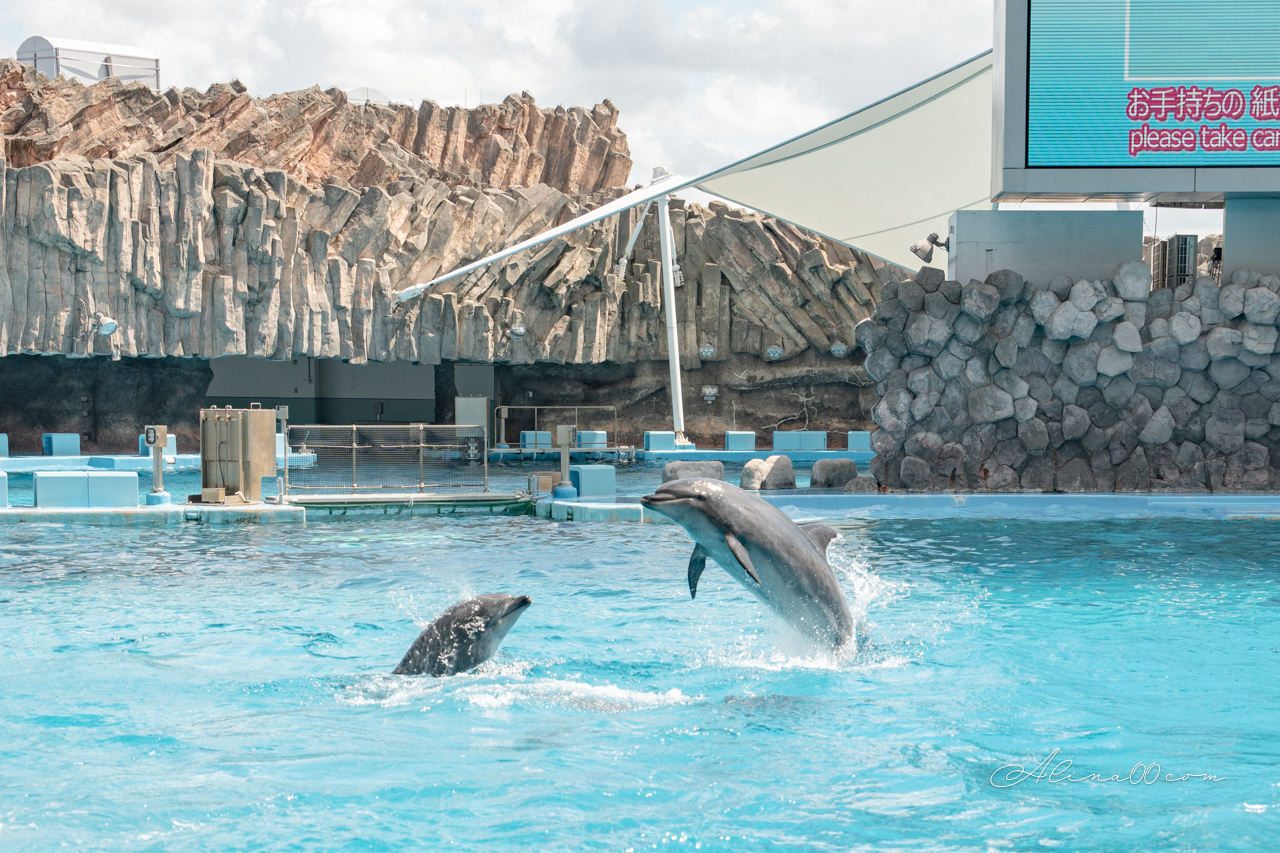 名古屋港水族館|日本最大海遊館,虎鯨表演超精彩 @Alina 愛琳娜 名古屋港水族館|日本最大海遊館,虎鯨表演超精彩 @Alina 愛琳娜