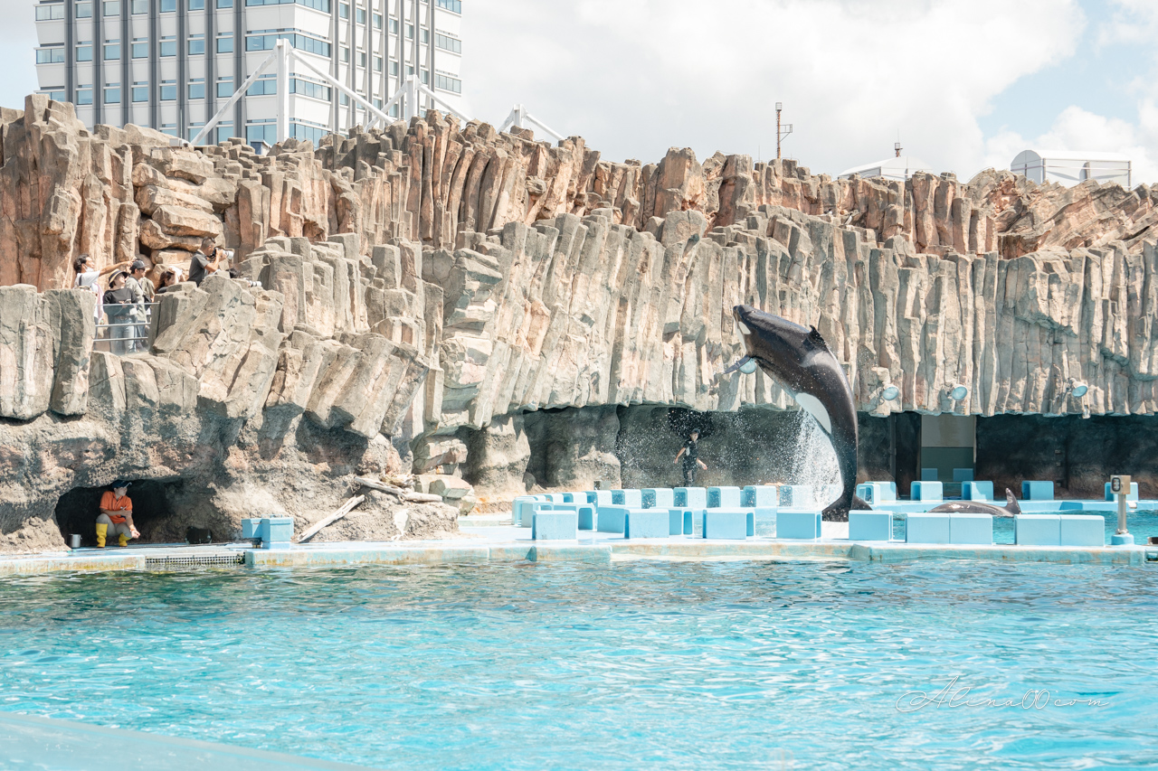名古屋港水族館|日本最大海遊館,虎鯨表演超精彩 @Alina 愛琳娜 名古屋港水族館|日本最大海遊館,虎鯨表演超精彩 @Alina 愛琳娜