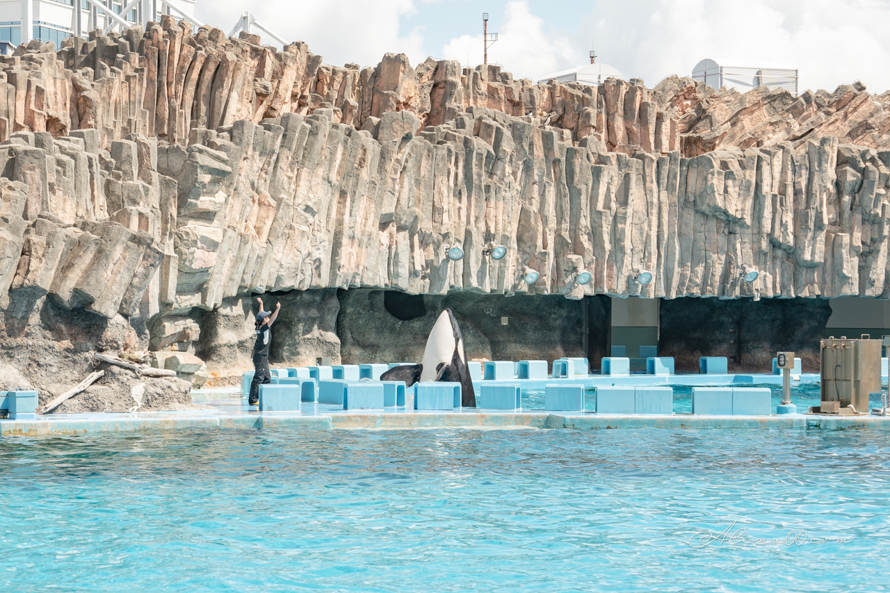 名古屋港水族館|日本最大海遊館,虎鯨表演超精彩 @Alina 愛琳娜 名古屋港水族館|日本最大海遊館,虎鯨表演超精彩 @Alina 愛琳娜