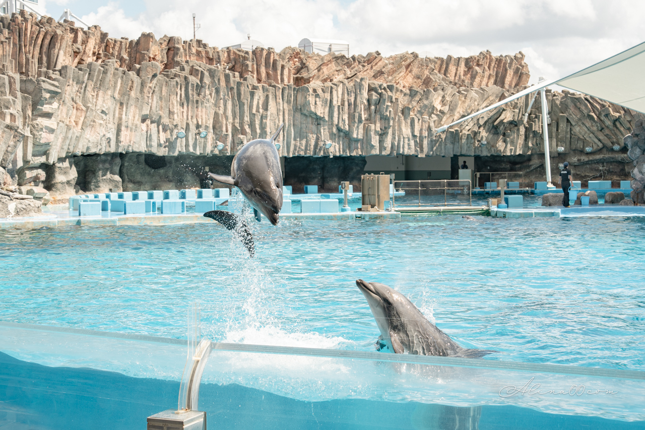 名古屋港水族館|日本最大海遊館,虎鯨表演超精彩 @Alina 愛琳娜 名古屋港水族館|日本最大海遊館,虎鯨表演超精彩 @Alina 愛琳娜