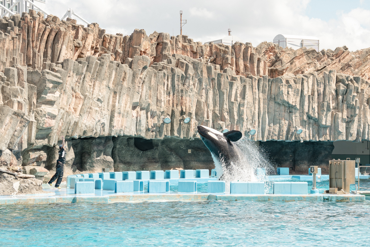 名古屋港水族館｜日本最大海遊館，虎鯨表演超精彩 @Alina 愛琳娜
