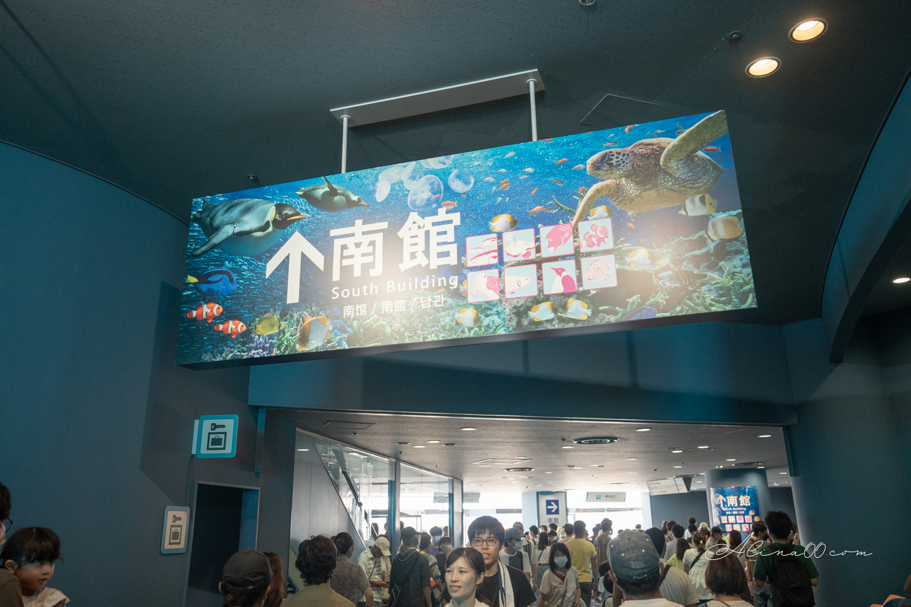 名古屋港水族館|日本最大海遊館,虎鯨表演超精彩 @Alina 愛琳娜 名古屋港水族館|日本最大海遊館,虎鯨表演超精彩 @Alina 愛琳娜