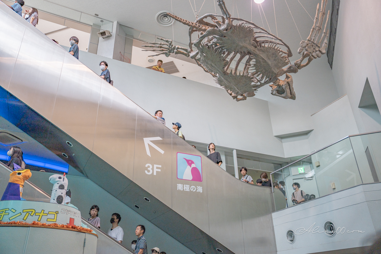 名古屋港水族館|日本最大海遊館,虎鯨表演超精彩 @Alina 愛琳娜 名古屋港水族館|日本最大海遊館,虎鯨表演超精彩 @Alina 愛琳娜