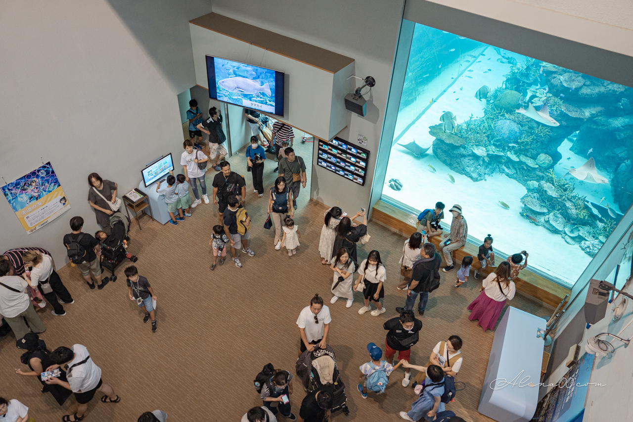 名古屋港水族館|日本最大海遊館,虎鯨表演超精彩 @Alina 愛琳娜 名古屋港水族館|日本最大海遊館,虎鯨表演超精彩 @Alina 愛琳娜