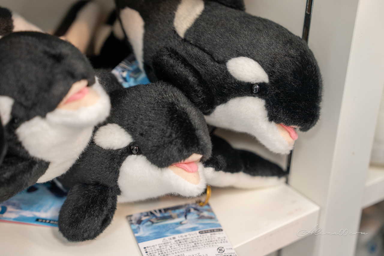名古屋港水族館|日本最大海遊館,虎鯨表演超精彩 @Alina 愛琳娜 名古屋港水族館|日本最大海遊館,虎鯨表演超精彩 @Alina 愛琳娜
