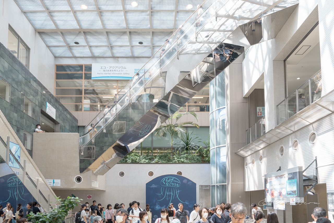 名古屋港水族館|日本最大海遊館,虎鯨表演超精彩 @Alina 愛琳娜 名古屋港水族館|日本最大海遊館,虎鯨表演超精彩 @Alina 愛琳娜