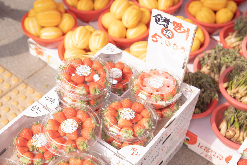 首爾廣藏市場｜4大美食推薦地圖+買棉被店推薦，必吃飯捲跟生牛肉 @Alina 愛琳娜