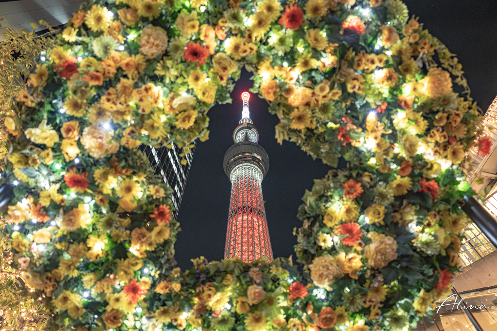 東京觀景台推薦》10大東京展望台，白天夜景雙享受 @Alina 愛琳娜