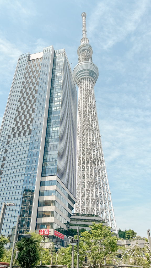 東京敘敘苑燒肉晴空塔店|窗邊訂位攻略,午間套餐很划算 @Alina 愛琳娜 東京敘敘苑燒肉晴空塔店|窗邊訂位攻略,午間套餐很划算 @Alina 愛琳娜