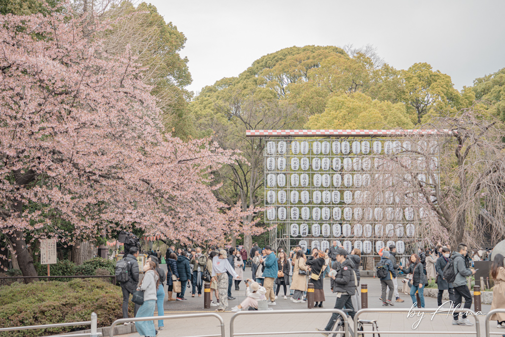 東京景點推薦》2026必玩東京景點地圖！分區規劃攻略及新開幕資訊 @Alina 愛琳娜