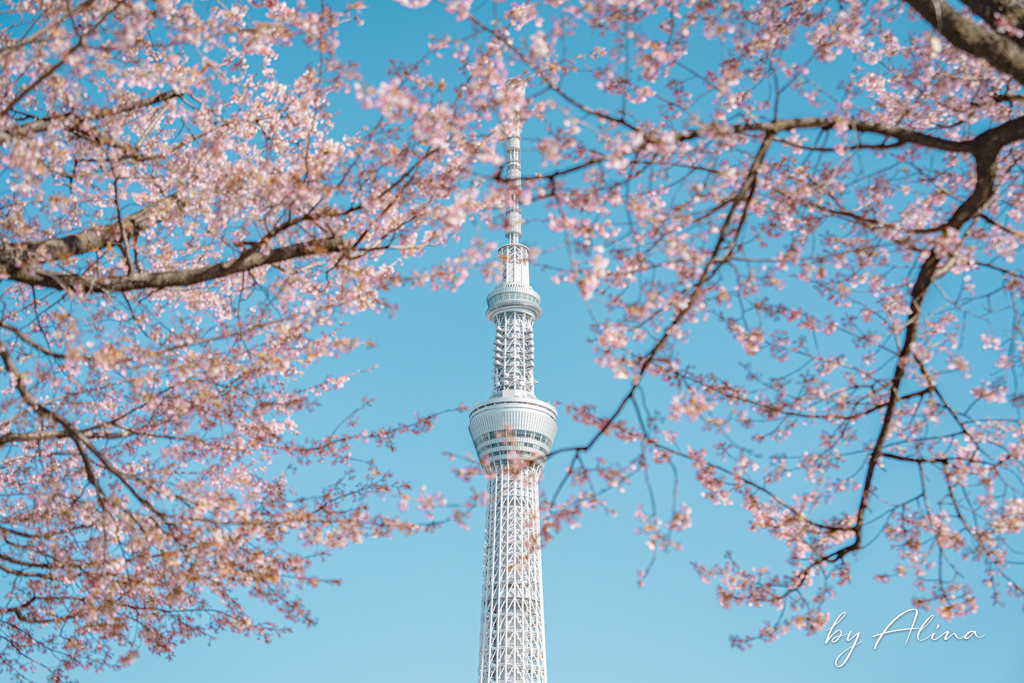 東京景點推薦》2026必玩東京景點地圖！分區規劃攻略及新開幕資訊 @Alina 愛琳娜