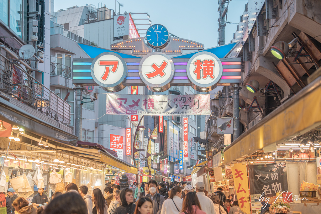東京景點推薦》2026必玩東京景點地圖！分區規劃攻略及新開幕資訊 @Alina 愛琳娜