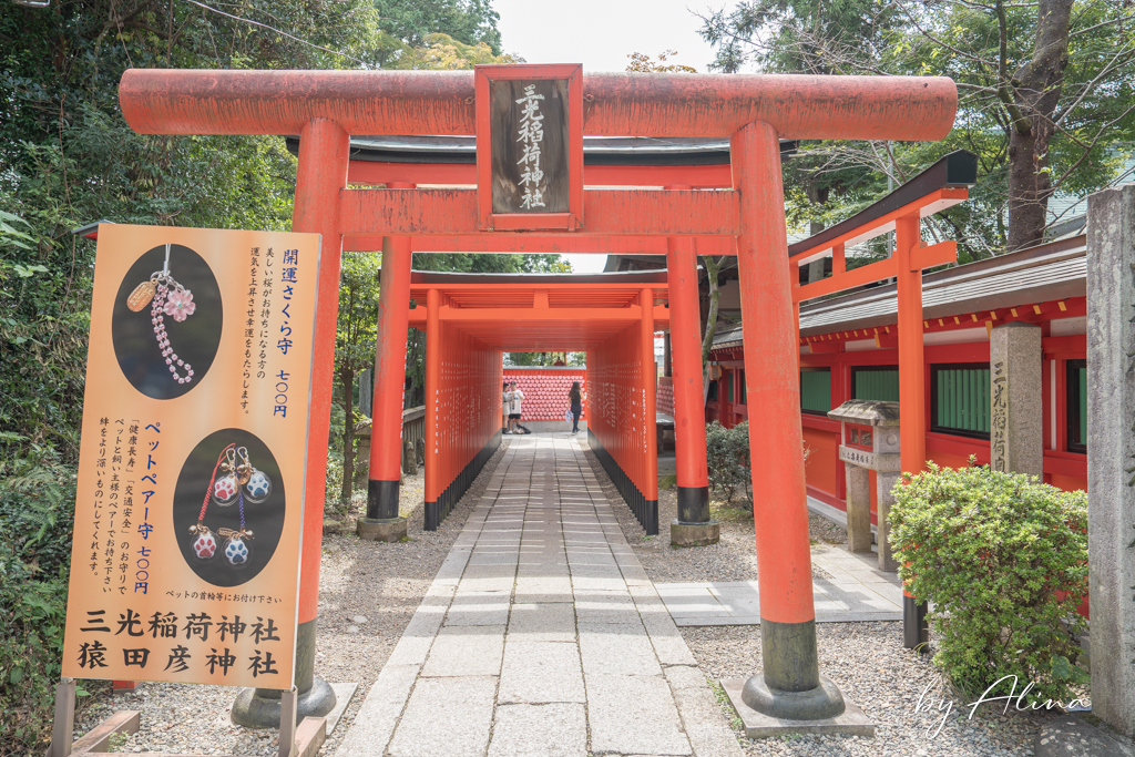 犬山城一日遊》城下町老街散策，神社巡禮景點美食輕鬆享受 @Alina 愛琳娜
