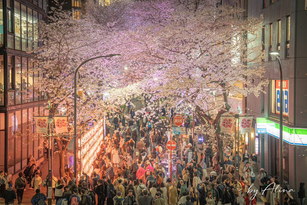 東京景點推薦》2026必玩東京景點地圖！分區規劃攻略及新開幕資訊 @Alina 愛琳娜