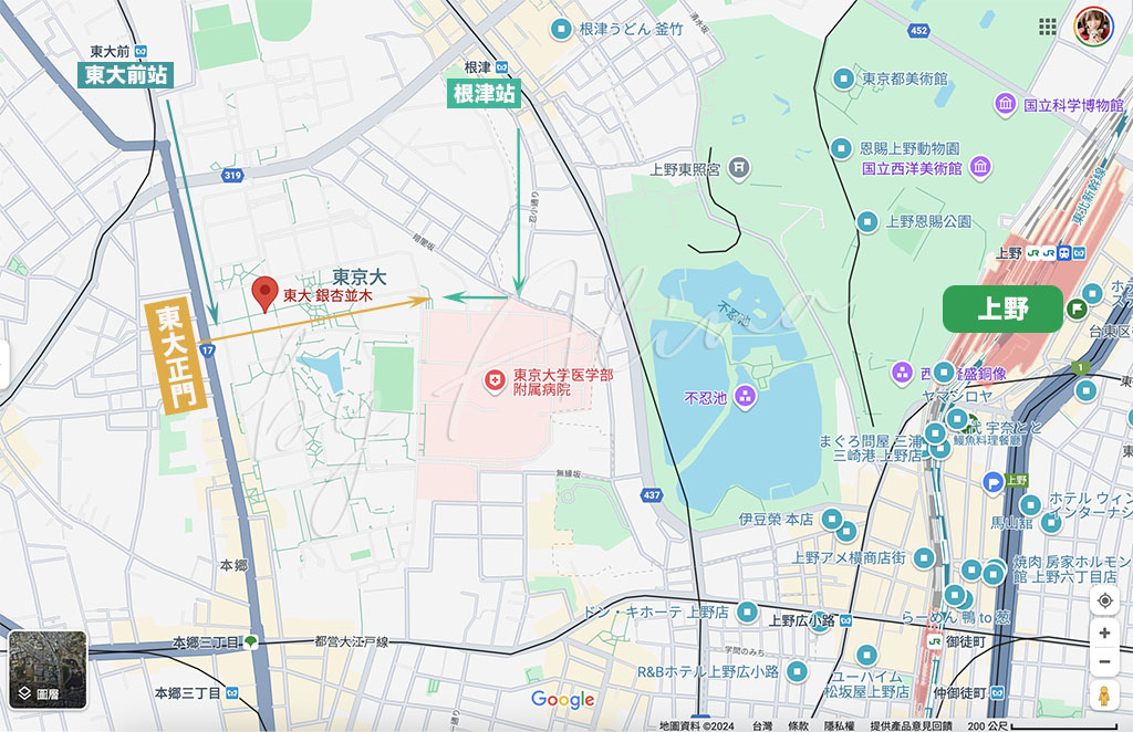東京大學銀杏並木｜漫步銀杏大道，歐風學院浪漫美 @Alina 愛琳娜