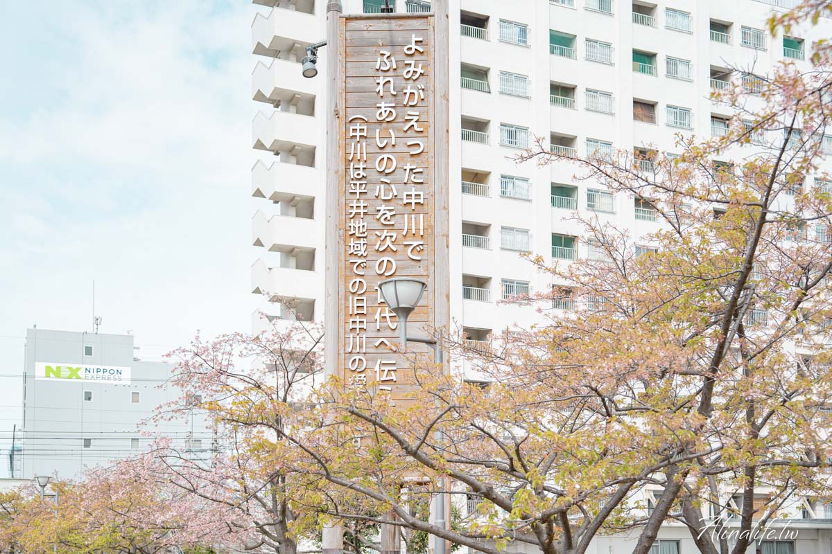 舊中川水邊公園|早春河津櫻與東京晴空塔相伴,夏天有繡球花 @Alina 愛琳娜 舊中川水邊公園|早春河津櫻與東京晴空塔相伴,夏天有繡球花 @Alina 愛琳娜