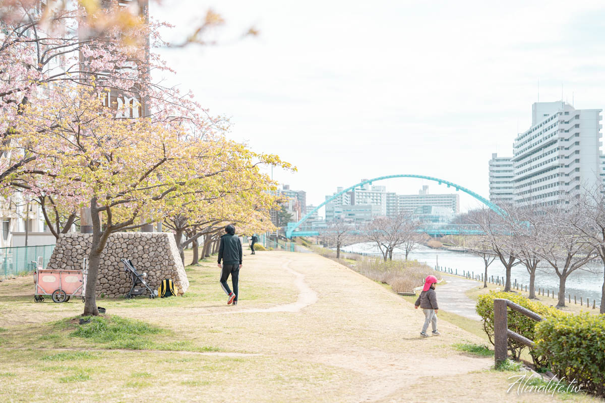 舊中川水邊公園｜早春河津櫻與東京晴空塔相伴，夏天有繡球花 @Alina 愛琳娜