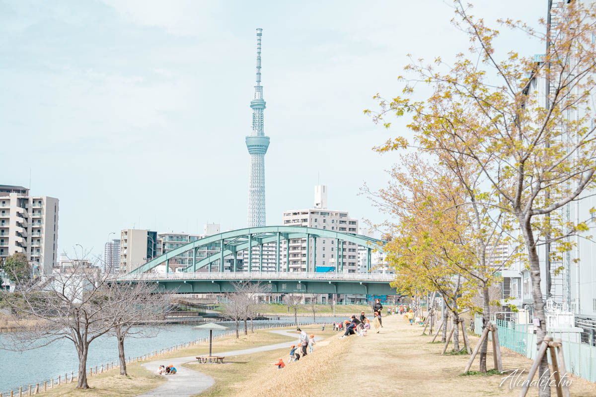 舊中川水邊公園|早春河津櫻與東京晴空塔相伴,夏天有繡球花 @Alina 愛琳娜 舊中川水邊公園|早春河津櫻與東京晴空塔相伴,夏天有繡球花 @Alina 愛琳娜