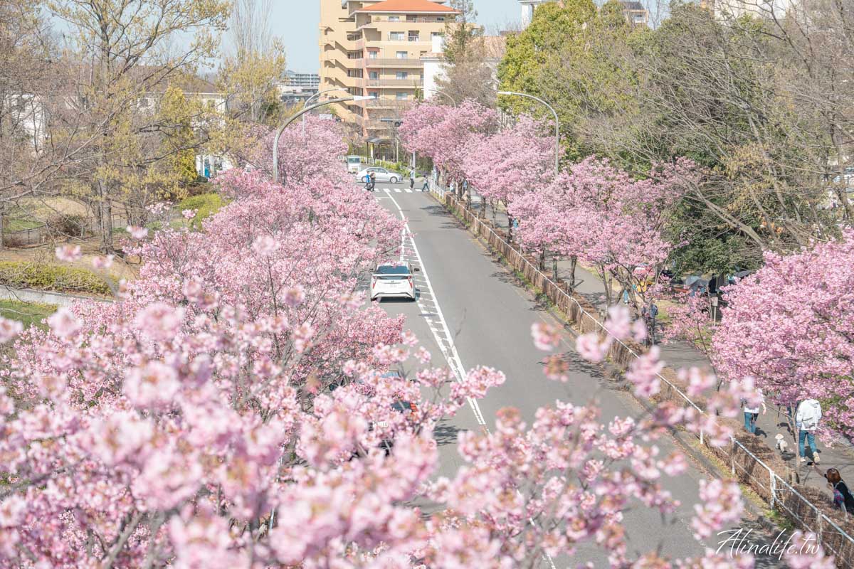 東京櫻花景點攻略》市區24個賞櫻名所+5個近郊櫻花景點推薦 @Alina 愛琳娜 東京櫻花景點攻略》市區24個賞櫻名所+5個近郊櫻花景點推薦 @Alina 愛琳娜