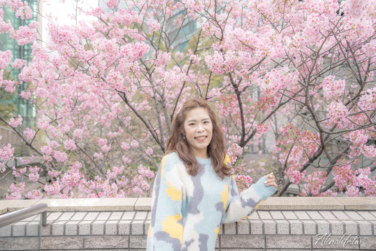 東京櫻花景點攻略》市區24個賞櫻名所+5個近郊櫻花景點推薦 @Alina 愛琳娜